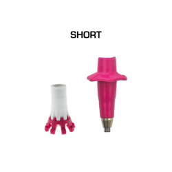 TSL - Trail C4 Flamingo  Cork Cross TSL - Trail C4 Flamingo  Cork Cross