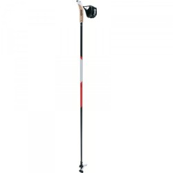 Bâtons marche nordique Swix CT2 100% carbon, marche nordic