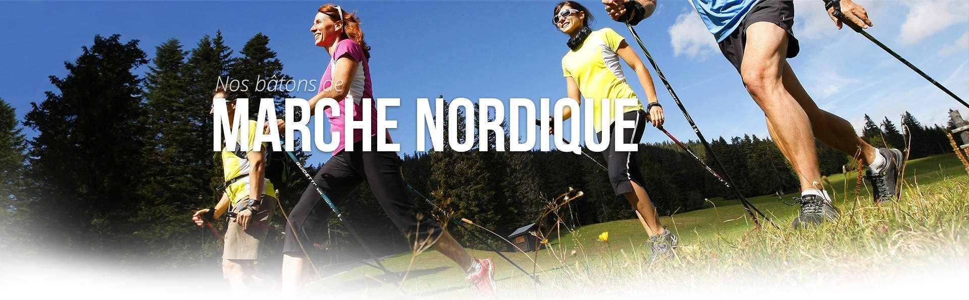 Bâtons de marche nordique TSL